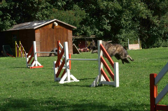 agility 2011-08